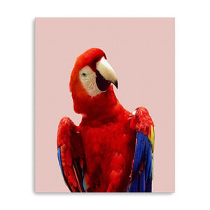 Homeroots Vibrant And Vivid Bird Unframed Print Wall Art  Polyester 398871