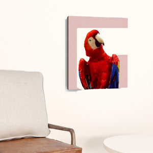 Homeroots Vibrant And Vivid Bird Unframed Print Wall Art  Polyester 398871