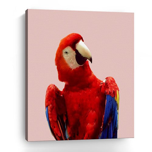 Homeroots Vibrant And Vivid Bird Unframed Print Wall Art  Polyester 398872