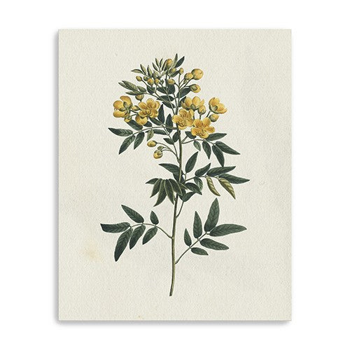 Homeroots Singular Yellow Blossom Branch Unframed Print Wall Art  Polyester 399054