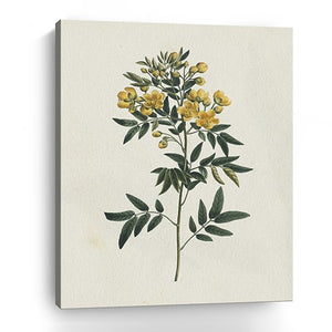 Homeroots Singular Yellow Blossom Branch Unframed Print Wall Art  Polyester 399054
