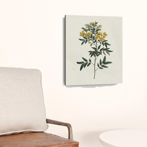 Homeroots Singular Yellow Blossom Branch Unframed Print Wall Art  Polyester 399054
