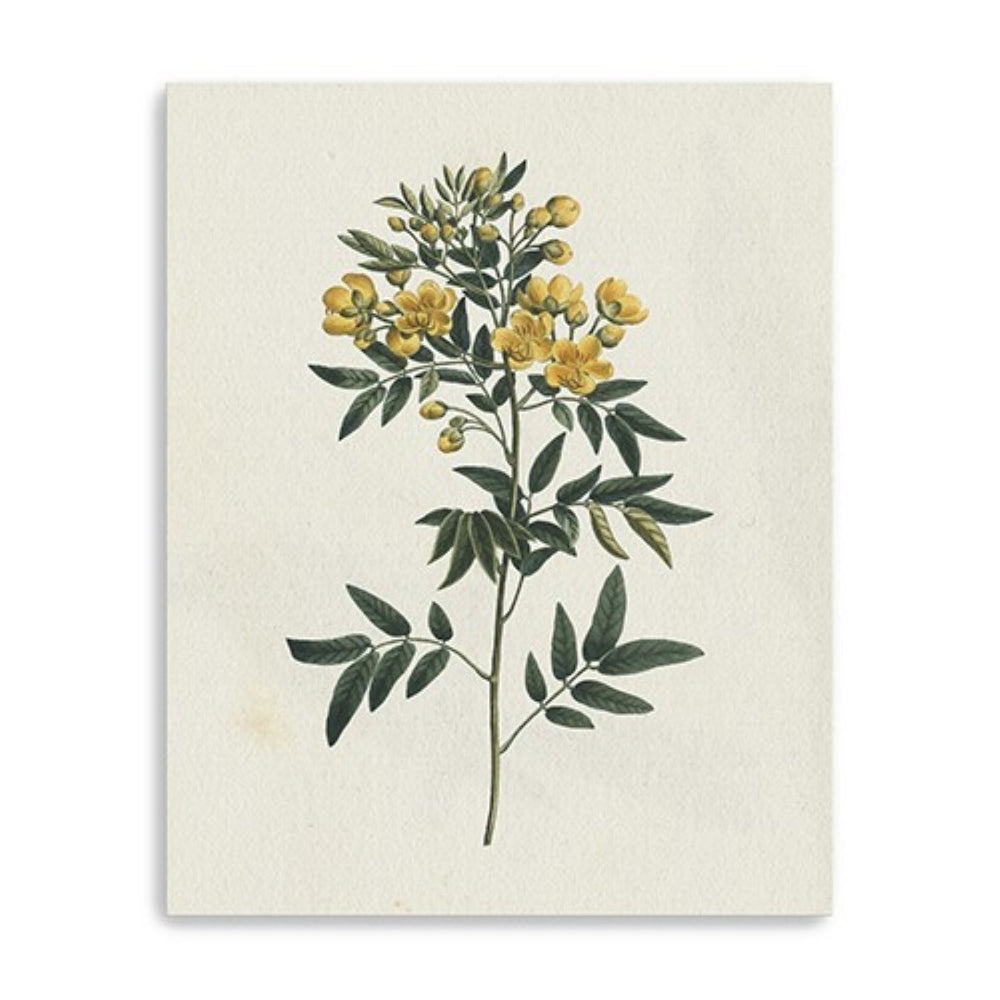 HomeRoots Singular Yellow Blossom Branch Canvas Print - Elegant Wall Art for Modern Home Décor and Serenity 24"x30" 399055