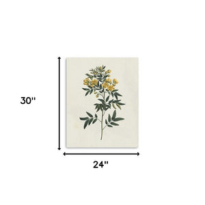 Homeroots Singular Yellow Blossom Branch Unframed Print Wall Art  Polyester 399055