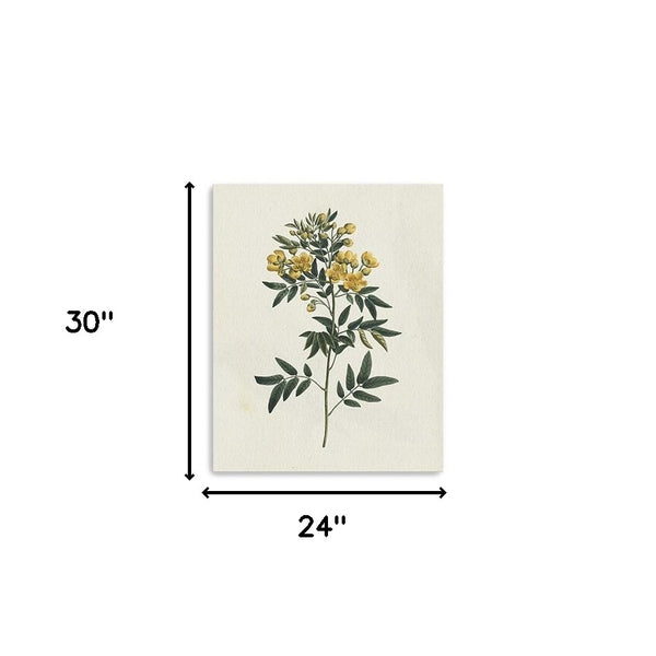 Homeroots Singular Yellow Blossom Branch Unframed Print Wall Art  Polyester 399055