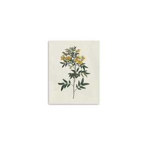 Homeroots Singular Yellow Blossom Branch Unframed Print Wall Art  Polyester 399055