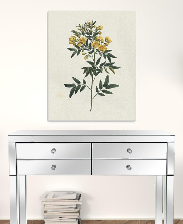 Homeroots Singular Yellow Blossom Branch Unframed Print Wall Art  Polyester 399055
