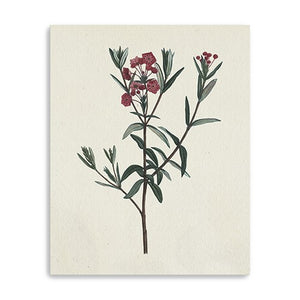 Homeroots Singular Red Blossom Branch Unframed Print Wall Art  Polyester 399056