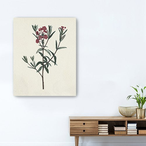 Homeroots Singular Red Blossom Branch Unframed Print Wall Art  Polyester 399056