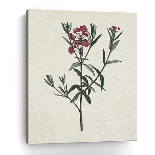 Homeroots Singular Red Blossom Branch Unframed Print Wall Art  Polyester 399056