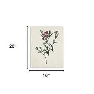 Homeroots Singular Red Blossom Branch Unframed Print Wall Art  Polyester 399056