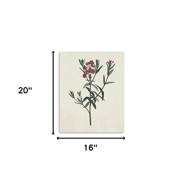 Homeroots Singular Red Blossom Branch Unframed Print Wall Art  Polyester 399056