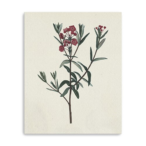 Homeroots Singular Red Blossom Branch Unframed Print Wall Art  Polyester 399057