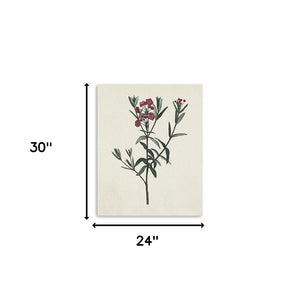 Homeroots Singular Red Blossom Branch Unframed Print Wall Art  Polyester 399057