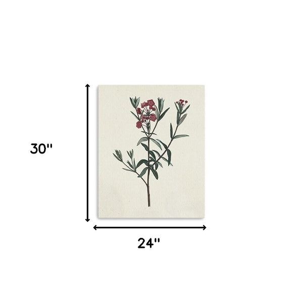 Homeroots Singular Red Blossom Branch Unframed Print Wall Art  Polyester 399057
