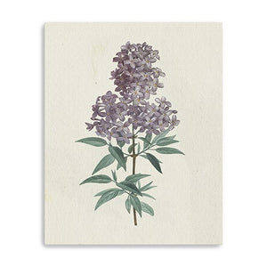 Homeroots Singular Purple Blossom Branch Unframed Print Wall Art  Polyester 399058