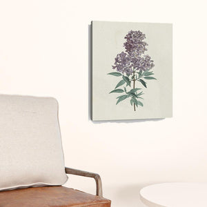 Homeroots Singular Purple Blossom Branch Unframed Print Wall Art  Polyester 399058