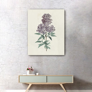 Homeroots Singular Purple Blossom Branch Unframed Print Wall Art  Polyester 399059