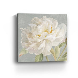 Homeroots Angelic White Peony Flower Unframed Print Wall Art  Polyester 399083