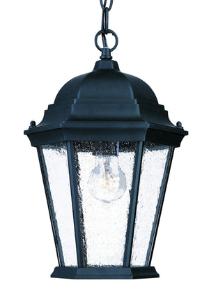 Homeroots Matte Black Domed Lantern Hanging Light   399190
