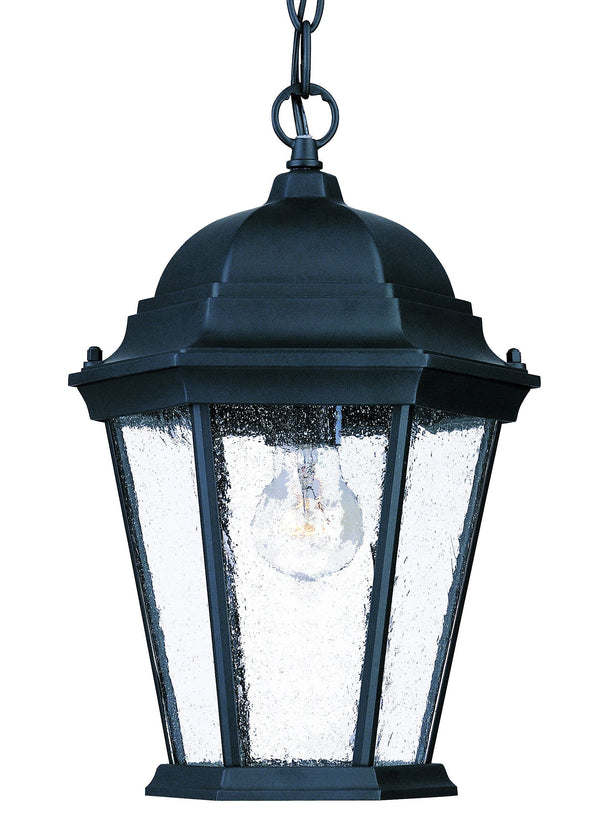 Homeroots Matte Black Domed Lantern Hanging Light   399190