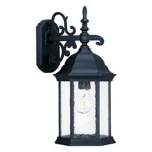 Homeroots Petite Matte Black Domed Hanging Lantern Wall Light   399223