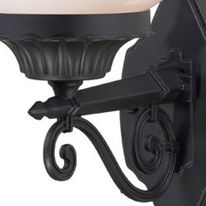 Homeroots Matte Black Round Acrylic Globe Wall Sconce   399229