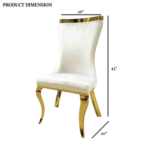 English Elm White Modern Upholstered Side Chair with Gold Legs, Tiger Print Accent, Comfortable Dining Seating White 35 L x 27 W x 22 H B2741S00732