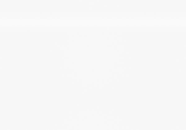 English Elm Coat Tree Hall Tree Free-Standing 72" White Metal Entryway with Extra Hanging Bar, Sturdy Design B2710P218960