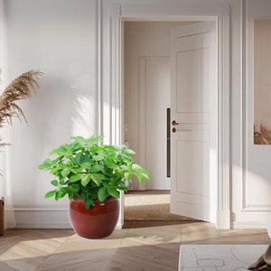 English Elm 3 Pieces Ceramic Flowerpot Set - Handcrafted Modern Planters For Garden, Patio, And Windowsills W3273P321540