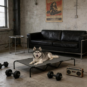 English Elm Large Elevated Dog Bed Powder Coated Steel Frame Teslin Mesh for Extra Big Breeds Black,Gray T3971P440346