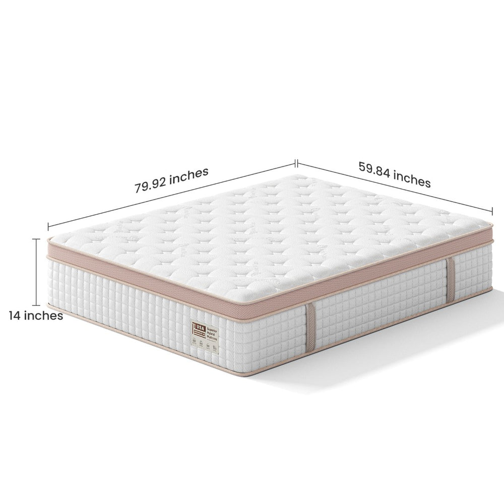 English Elm 12 Inch Queen Gel Foam Pocket Spring Hybrid Mattress Firm Support Spinal Relief B2716P455269