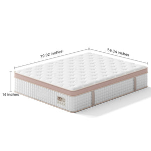 English Elm 12 Inch Queen Gel Foam Pocket Spring Hybrid Mattress Firm Support Spinal Relief B2716P455269