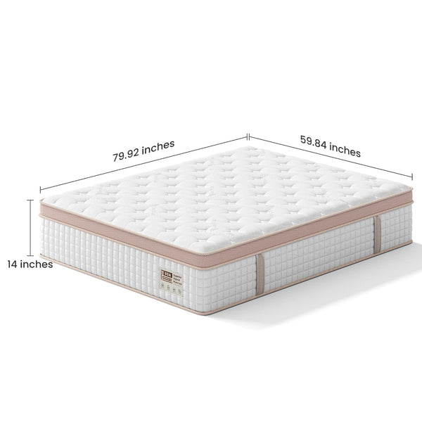 English Elm 12 Inch Queen Gel Foam Pocket Spring Hybrid Mattress Firm Support Spinal Relief B2716P455269