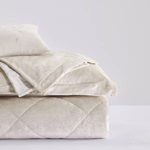 English Elm 3 Pcs Twin/Twin Xl Velvet Duvet Cover Set - Luxurious Champagne With Soft Microfiber & Pillow B035P319875