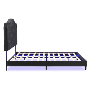 English Elm Upholstered Queen Bed Black Velvet Tufted Headboard with Led Ambient Lighting W311P237227