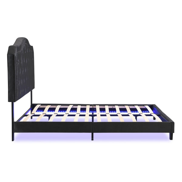 English Elm Upholstered Queen Bed Black Velvet Tufted Headboard with Led Ambient Lighting W311P237227
