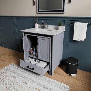 English Elm Dark Grey Bath Vanity Set With 28" Mirror - Modern Style, Easy Installation & Ample Storage Space B2731S00537
