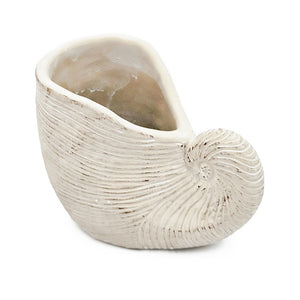English Elm 8.5x5.5x6.3" Sand and Cement Nautilus Shell Planter, Textured Beige Coastal Decor for Succulents and Herbs W2078P334177