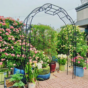 English Elm Metal Garden Arch Powder Coated Steel Trellis for Climbing Roses Outdoor Weddings Black W1586P268772