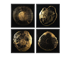 Sunpan TIME LINES Set of 4 Framed Art Panels - 30" Charcoal Frames with Gold Leaf Tree Ring Designs A0325