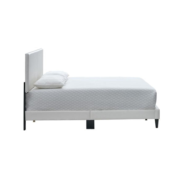 English Elm Baron Full Bed Frame with Faux Leather Upholstery, Slat Support, Adjustable Headboard Height, Fits 7–13" White 26.37 L x 66.53 W x 7.48 H B078P380180