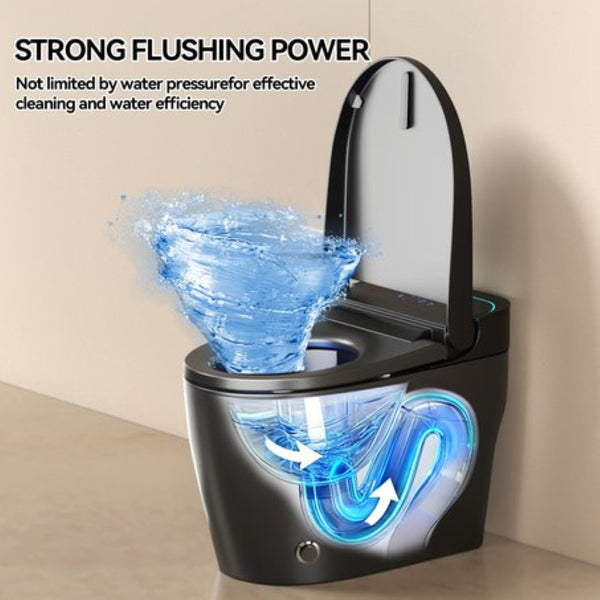 English Elm Unique Intelligent One Piece Toilet with Bidet Warm Air Dryer and Auto Sensor Seat Black W3133P476381