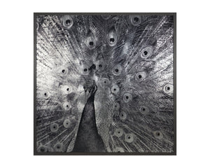 Sunpan COURTSHIP - 48" Charcoal Framed Peacock Art - Luxe Vintage Elegance for Living Spaces & Offices A0261