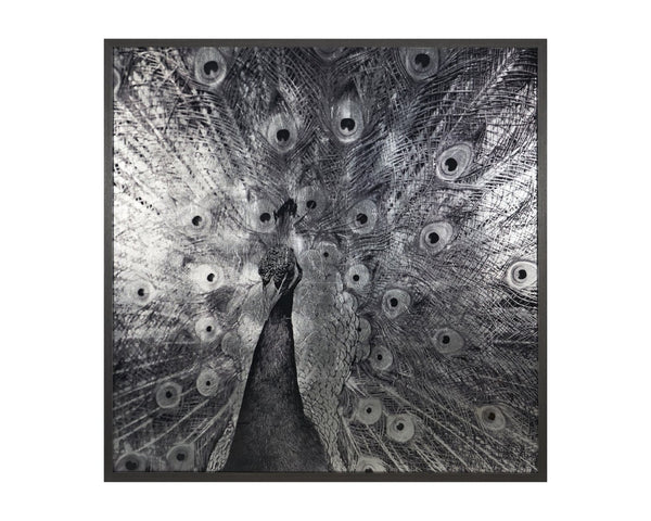 Sunpan COURTSHIP - 48" Charcoal Framed Peacock Art - Luxe Vintage Elegance for Living Spaces & Offices A0261