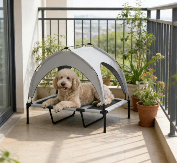 English Elm Raised Canopy Dog Bed Outdoor Elevated Mesh Frame with Uv Shield and Carry Bag T3971P455982
