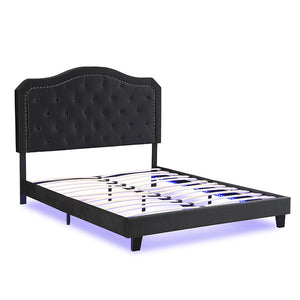 English Elm Upholstered Diamond Button Tufted Platform Bed with Velvet, LED Ambient Lighting, Sturdy Slats Black 65.75 L x 34.43 W x 4.72 H W2297P268385