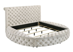 English Elm Luxurious Round Queen Bed with Velvet Tufted Headboard, Studded Accents and Hidden Storage Space Ivory 54.75 L x 95.25 W x 8.25 H B011S01647
