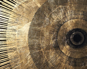 Sunpan Brilliance Wall Art: Luxe Art Deco Acrylic Print with Gold Leaf Sunburst & Charcoal Wood Frame