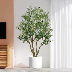 English Elm 8ft Artificial Olive Tree with Natural Wood Trunk Faux Fruit and Lifelike Foliage W2945P458768